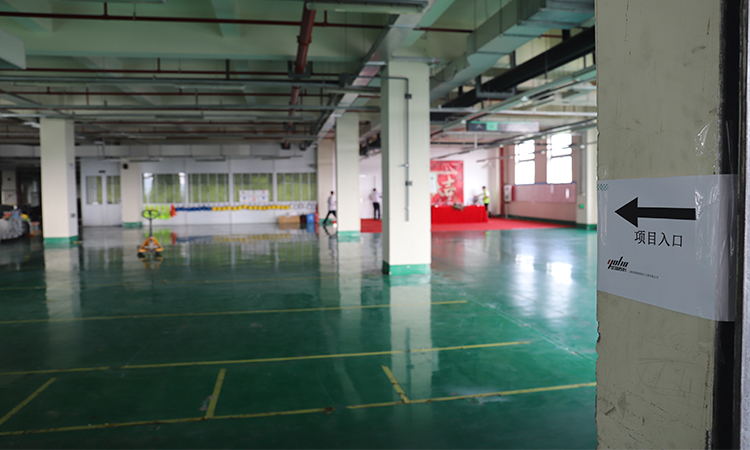 上海正能量网站在线观看免费公司